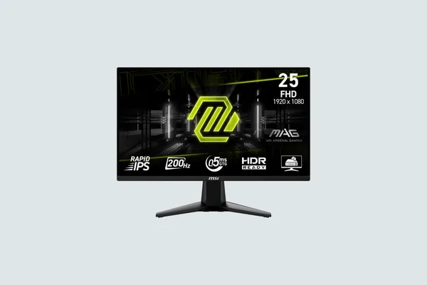 img of Review Monitor MSI MAG255F E20